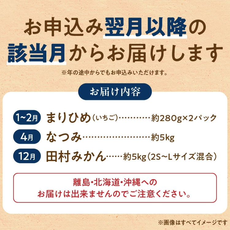 G60-T58_【定期便 全3回】紀州和歌山産旬のフルーツ定期便（田村みかん、いちご、なつみ）_イメージ5