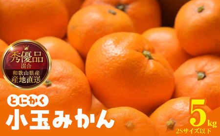 【2026年先行予約】みかん とにかく 小玉 箱込 5kg ( 内容量 4.4kg ) 2Sサイズ以下 秀品 優品 混合 有田みかん 和歌山県産 産地直送 【みかんの会】_MK1040