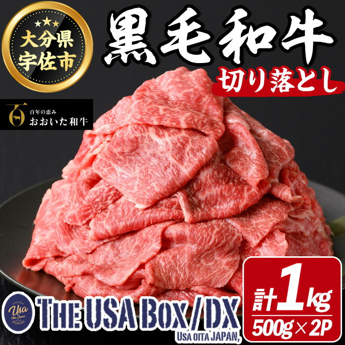 【ふるさと納税】おおいた和牛 切り落とし THE USA Box/DX(500g×2P) 牛肉 黒毛和牛 A4 お肉【114004301】【一般社団法人　地域商社USA】