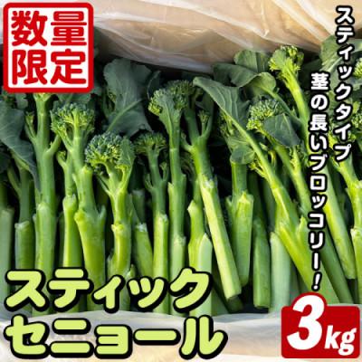 ふるさと納税 阿久根市 スティックセニョール (3kg) 鹿児島県 阿久根市産 ブロッコリー