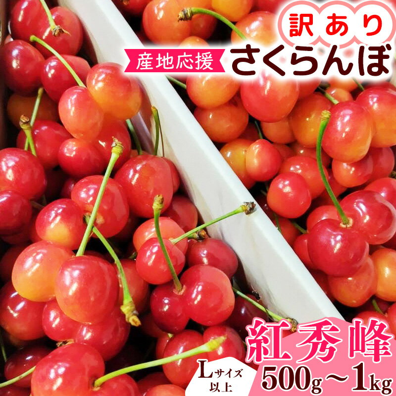【ふるさと納税】【先行予約】訳あり（双子果入り） さくらんぼ 紅秀峰 Lサイズ以上 500g 〜 1kg バラ詰 令和8年産 山形県産【2026年6月中旬頃〜7月上旬頃発送予定】※配送不可 沖縄・離島フルーツ 果物 果実 山形産 500グラム 1キロ 2026年産 令和8年 家庭用 双子