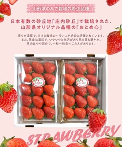 SZ0322　いちご 「おとめ心」　約280g×2パック