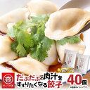 【ふるさと納税】 だぶだぶの肉汁をすすりたくなる餃子ちぃーず 40個 餃子 ギョーザ チーズ にんにく にら なし 惣菜 豚 肉 だぶだぶ餃子 冷凍 もちもち 肉汁 山椒 焼き餃子 焼餃子 水餃子 ボリューム ぎょうざ屋 杏 北海道 苫小牧市 おすすめ ランキング プレゼント ギフト