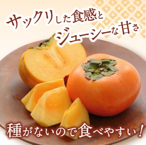 お試しに！カキエモン農園のたねなし柿 約1.5kg 【2025年9月下旬～10月末頃順次発送】/ 柿 たねなし カキ 果物 フルーツ 甘カキ 甘柿【BX-kkem006】
