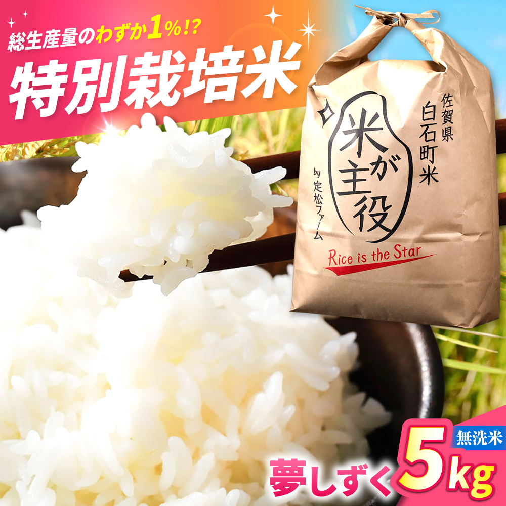 【先行予約】【令和7年度産】こだわりの特別栽培！ 無洗米 夢しずく 5kg 【有限会社定松ファーム】 [IBV004]