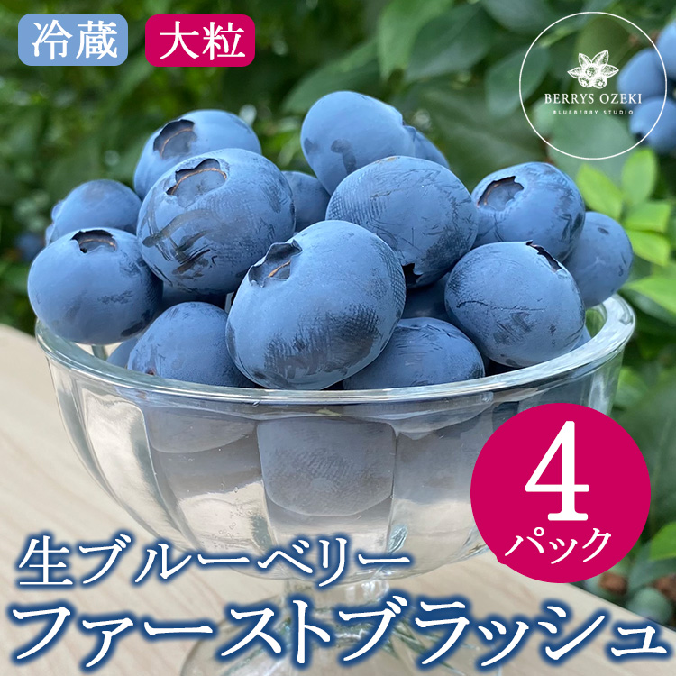 ファーストブラッシュ ブルーベリー 大粒 上品な甘さ 4パック｜生果実 香りが強い 爽やか フルーティー 高級感 パリッと食感 ※離島への配送不可