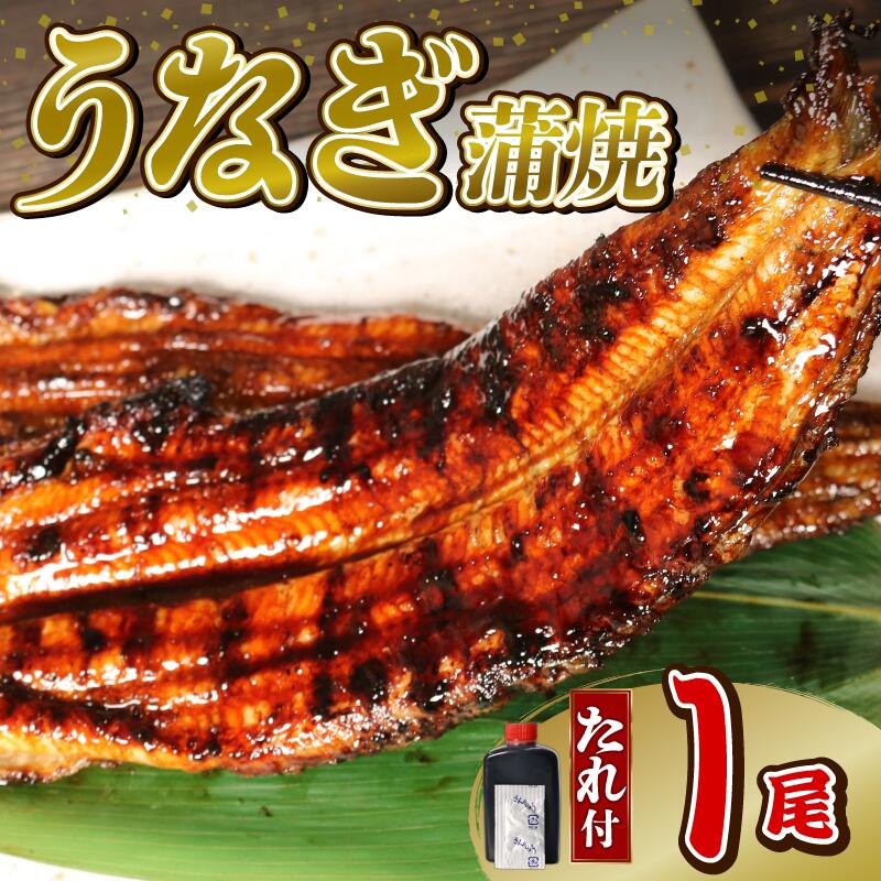 【ふるさと納税】 うなぎ 蒲焼 1尾 140g 冷蔵 鰻 土用の丑の日 電子レンジ 調理 直火焼き 関西風 ウナギ 和風惣菜 おかず 晩ごはん 晩酌 贈り物 ギフト 夏バテ予防 スタミナ料理 タレ付き グルメ うな重 うな丼 藤枝市 静岡県