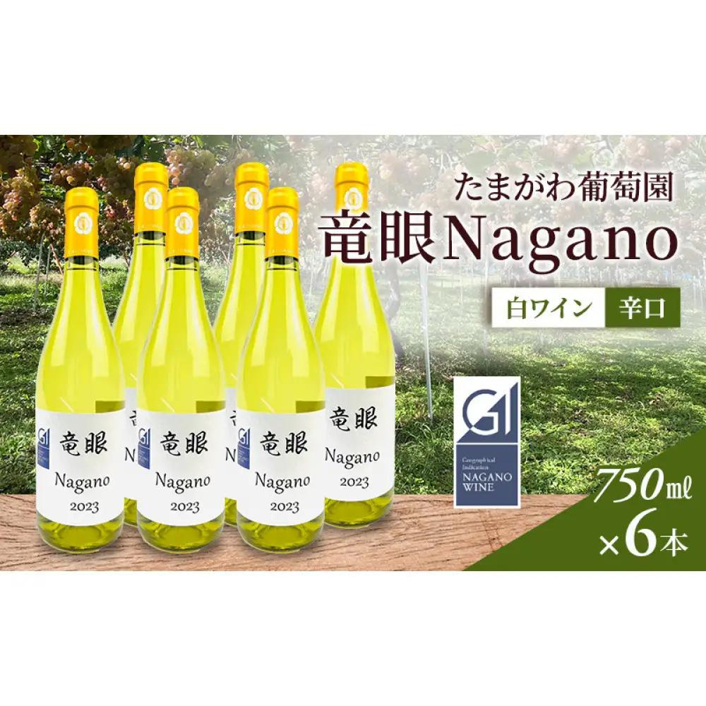 ワイン　竜眼Nagano　【GI長野】認定　750ｍｌ×6本 | ワイン 竜眼 白ワイン 辛口