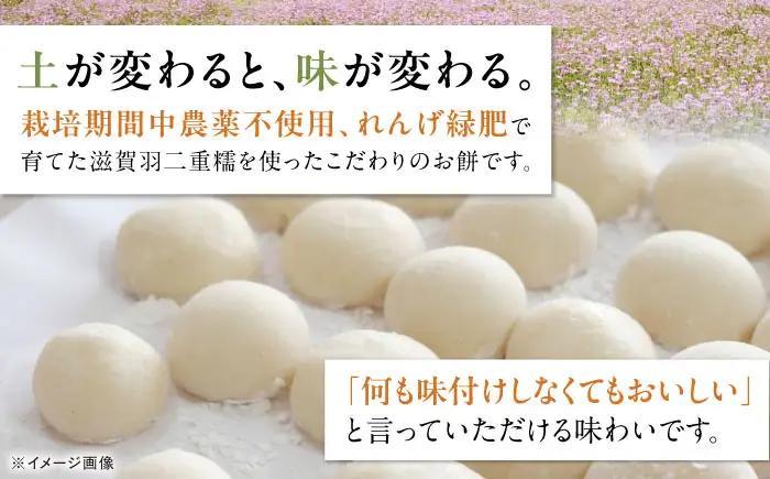 滋賀羽二重糯のまん丸おもち 12個[AQEC001]もち