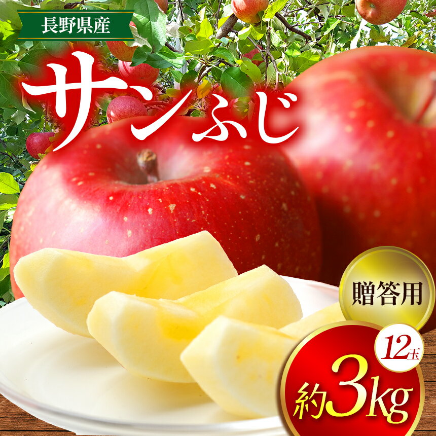 【ふるさと納税】 りんご 信州 上伊那産 贈答用 サンふじ 約3kg （12玉）｜りんご リンゴ 林檎 果物 くだもの サンふじ JA上伊那 伊那市 長野県 信州 ふるさと納税【012-80】