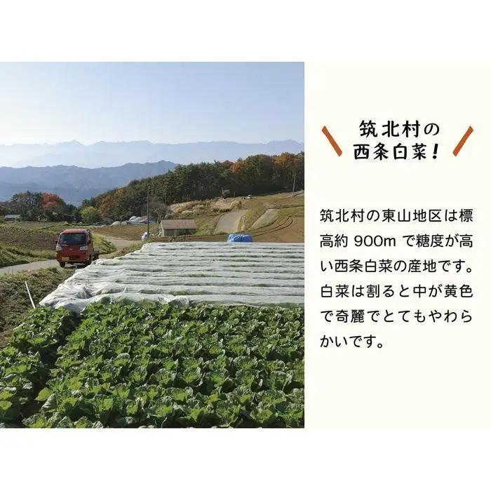先行予約【2026年7月～順次配送】筑北村 特産 西条白菜（夏白菜）のキムチ　松ちゃんキムチ工房の元（ゲン） キムチ 1kg | 惣菜 野菜 産直 産地直送 長野県 信州