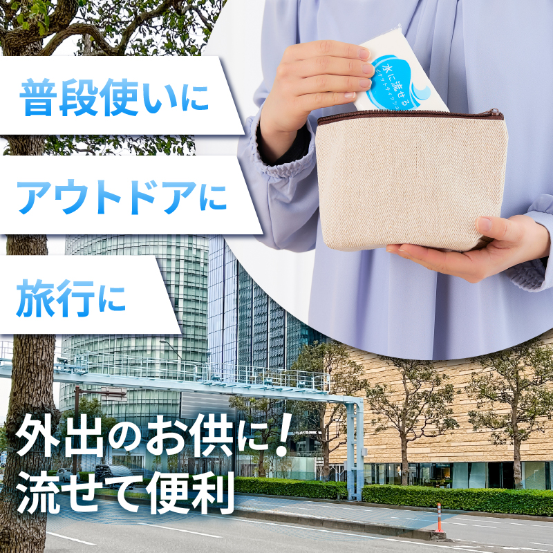 水に流せるポケットティッシュ１６個入り×３０パック　計４８０個）【配送不可地域：沖縄本島・離島】（1975）