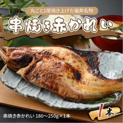 ふるさと納税 福井市 丸ごと1尾焼き上げた福井名物 串焼き赤かれい 1本