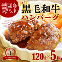 【ふるさと納税】 訳あり 国産 A5 黒毛和牛 手ごね ハンバーグ120g×5個 小分け 個包装 冷凍 牛肉 お弁当 高級 ギフト 人気 ワケアリ 贈答用 ジューシー 美味しい おすすめ レシピ 簡単 焼き方 10000円 一万