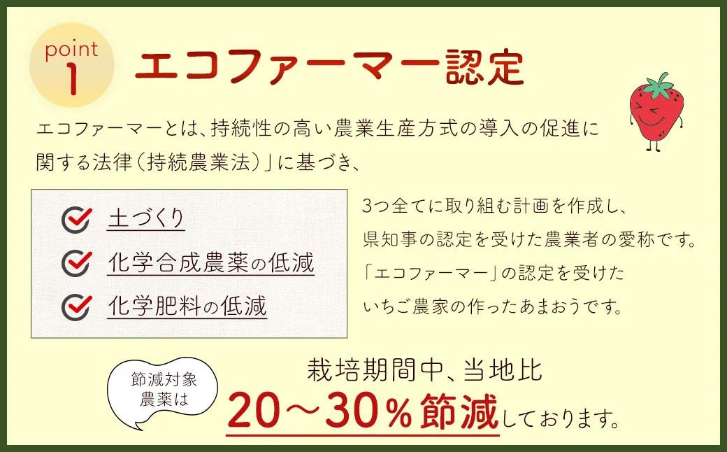 【2026年 2月発送】【アフター対応】特別栽培あまおう 約300g×4パック イチゴ 苺 いちご ※北海道・沖縄・離島配送不可