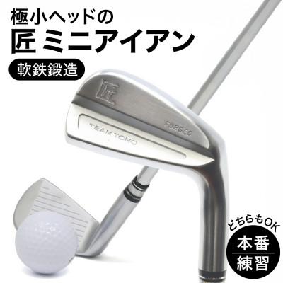 ふるさと納税 市川町 匠ミニアイアン「極小ミニヘッド」　035BF01N.