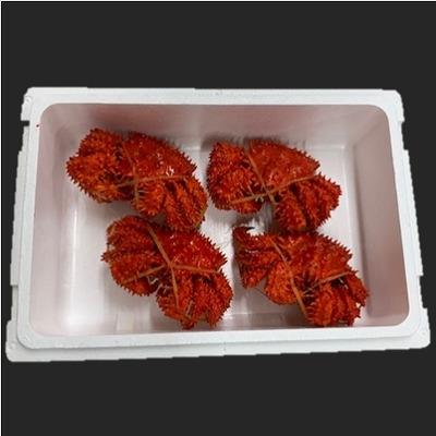 ふるさと納税 根室市 ＜12/21まで年内配送＞★花咲がに姿350〜450g×4尾 A-01041 |  | 01