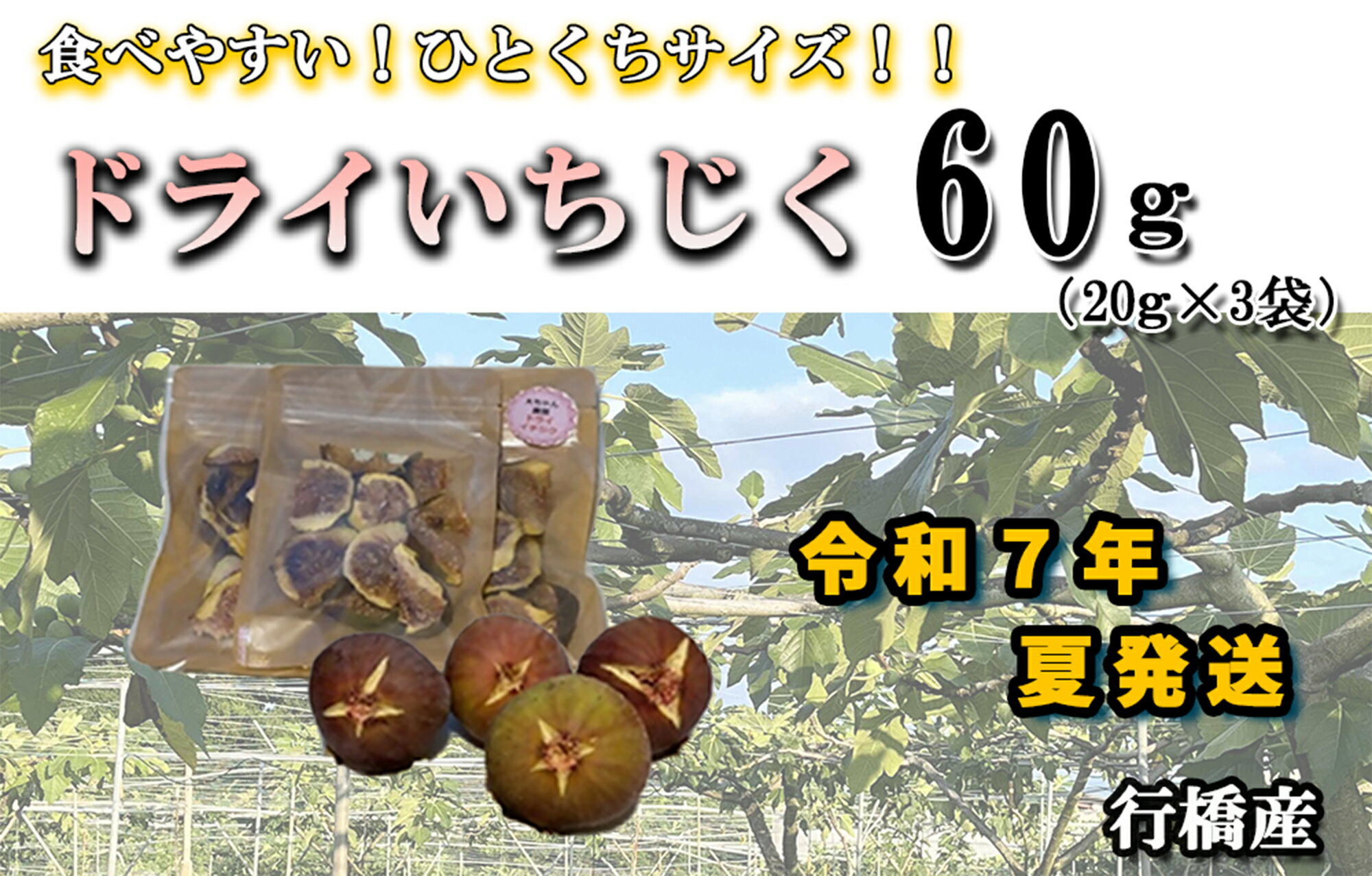 【ふるさと納税】【予約・令和7年夏発送】乾燥蓬莱いちじく60g（20g×3袋）_AO-021