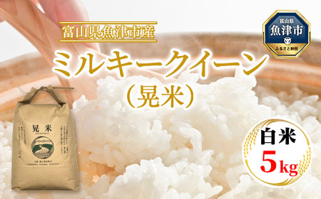 【令和7年度米】【農家直送】環境配慮「魚津のミルキークイーン（晃米）」5kg（白米） ｜新米 MK農産 白米 銘柄米 ブランド米 ご飯 おにぎり お弁当 和食 主食 国産 産地直送 甘み 香り もちも