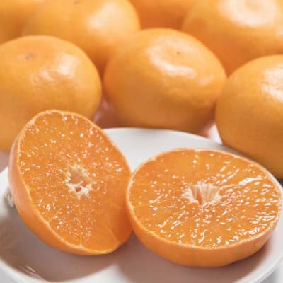 【ふるさと納税】佐賀産 かんきつ せとか ＜内容量が選べる／約1.5kg（4-7玉） ・約3kg（7〜12玉）＞ 【 柑橘 フルーツ デザート せとか みかん 】