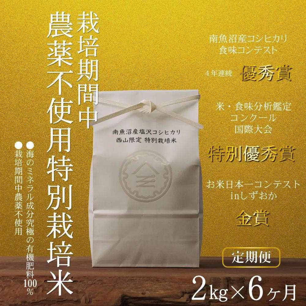 【定期便令和8年新米予約】南魚沼食味コンクール4年連続優秀賞　栽培期間中農薬不使用特別栽培米2kg×6回　南魚沼塩沢産コシヒカリ【2026年10月中旬から1ヶ月以内に順次発送予定】｜コシヒカリ