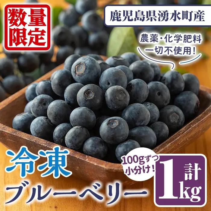《2026年9月以降順次発送》《数量限定》冷凍ブルーベリー(計1kg・100g×10パック) 冷凍 無農薬 国産 九州産 鹿児島県産 くだもの 果物 フルーツ シャーベット ジャム フローズン ベリー おやつ デザート 【体験型観光農園さつまドリームファーム】_y527