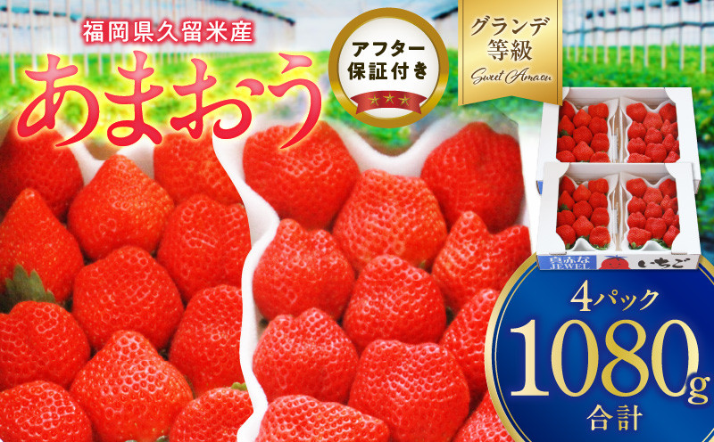 
                  いちごの王様！【あまおうグランデサイズ】３玉～1５玉（４パック）１月から発送_あまおう グランデ 等級 約 270g 3～15玉 予約 完熟 贈答用 いちごの王様 大粒 ブランドいちご 土耕栽培 朝一番収穫 即日発送 お取り寄せ 福岡県 久留米市 送料無料_Fi071
                