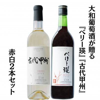 ふるさと納税 甲州市 大和葡萄酒が贈る『ベリー瑛』『古代甲州』赤白ワイン2本セット　B13651