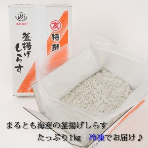 しらす 釜揚げしらす 1kg 箱入り【冷凍】 無添加 無着色【mar112】