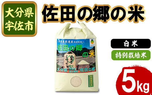 ＜先行予約受付中！2024年10月中旬より順次発送＞＜新米・令和6年産＞佐田の郷の米 特別栽培米(5kg)お米 白米 ごはん ブランド米 常温 常温保存【111700701】【雅設置プロジェクト　佐田の郷の会】