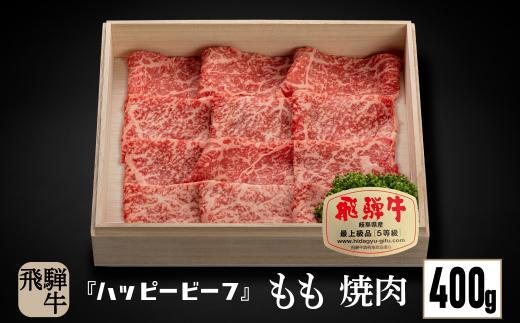 飛騨牛 A5等級 赤身 もも肉 焼肉 400g 黒毛和牛 ブランド牛 Ａ5ランク ハッピープラス 飛騨高山 JQ021VC13