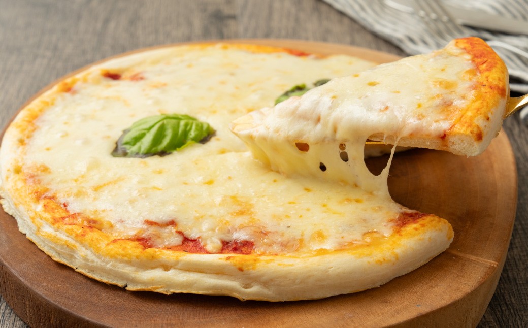 【2回定期便】 北海道十勝 3種のチーズ 贅沢モッツァレラブレンド