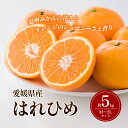 【ふるさと納税】はれひめ M～2Lサイズ 約5kg 申込11月30日まで 12月上旬から順次発送【みかん ミカン オレンジ かんきつ 柑橘 フルーツ 果物 くだもの おやつ スイーツ 甘い ジューシー 愛媛県】　お届け：2024年12月上旬～2025年1月上旬