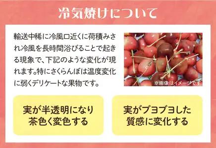 ≪先行予約≫さくらんぼ 佐藤錦 500g 特秀品 Lサイズ 化粧箱入【2026年6月中旬頃～発送予定】【山形県産さくらんぼ】さくらんぼ サクランボ 001-071