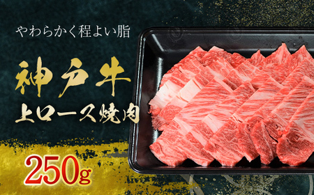 神戸牛上ロース焼肉　250g (AG040) 兵庫県 朝来市 AS36BB54 / 神戸牛 神戸ビーフ 神戸肉 黒毛和牛 国産和牛 ブランド和牛 牛肉 牛 肉 お肉 おにく 上ロース ロース ロース肉 上ロース肉 焼肉用 焼き肉 焼肉 BBQ バーベキュー 牛ロース肉 牛ロース