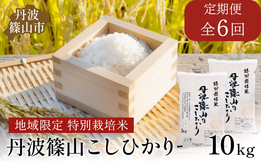 【定期便】※令和7年産※ 特Aランク特別栽培米　コシヒカリ　10kg（全6回）