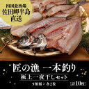 【ふるさと納税】【一本釣り 匠の漁】佐田岬 玉手箱セット＜海鮮 魚 愛媛 伊方 アジ いさき フグ サバ 太刀魚＞5種×各2枚（計10枚）