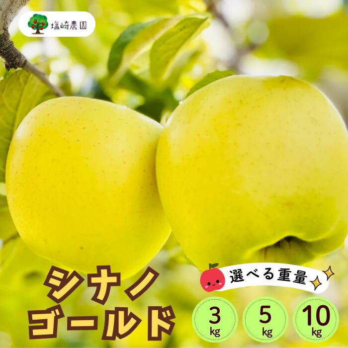 【ふるさと納税】＜2025年先行予約＞シナノゴールド 選べる3kg 5kg 10kg＜出荷開始：2025年10月下旬～11月中旬頃＞(7-A25-1-2-3)【 りんご フルーツ 長野県 飯山市 ギフト プレゼント 父の日 母の日 敬老の日 記念品 シナノゴールド 就職内祝い 新築内祝い】