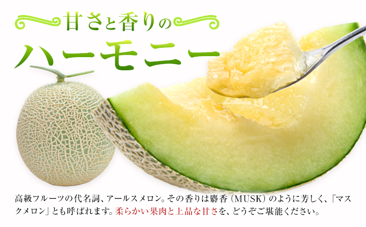 アールスメロン 約2kg×3玉 特選 (約6kg)【養生市場】メロン 果物 フルーツ マスクメロン 九州産 熊本県産 送料無料 《2026年10月中旬-11月中旬頃出荷予定》---003-1152--