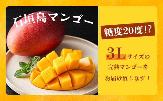 【先行予約】《2026年6月下旬～7月下旬発送》 最高糖度20度！？ 完熟！3Lサイズ 石垣島マンゴー 2玉約900g【沖縄 石垣島 石垣 八重山 マンゴー 完熟マンゴー 期間限定 数量限定 沖縄県 