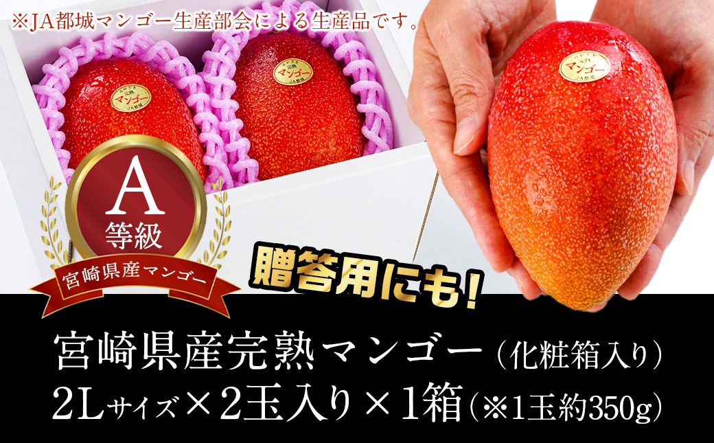 【先行受付!】宮崎県産完熟マンゴー(A等級) 【2L以上×2玉】≪2025年5月中旬以降順次お届け≫_22-0101