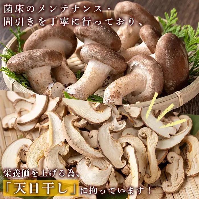 干し 椎茸 100g 乾燥 スライス 菌床栽培 国産 種子島 【えいぜっと】n328