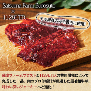 No.1054-B 鹿児島県産黒毛和牛モモ赤身！ビーフジャーキー(計10袋)国産 九州産 牛肉 黒毛和牛 和牛 おつまみ 肴 おやつ 間食 小分け セット【1129】