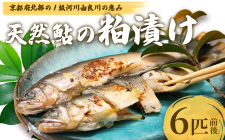 天然鮎の粕漬け 6匹 あゆ 鮎 粕漬け