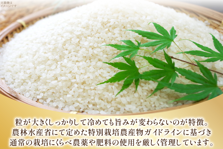 米 令和7年 特別栽培米 つや姫 5kg 2P 計 10kg [JA山形おきたま 山形県 高畠町 tk06ays870002] 5キロ 10キロ お米 ブランド米 ごはん ご飯 白米 精米 おこめ こ