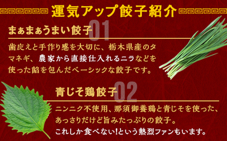 宇都宮餃子 運気アップ餃子 ニンニクマシマシ スタミナ餃子 18個 保存料不使用【冷凍餃子 ぎょうざ ギョウザ 冷凍食品 惣菜 栃木県 宇都宮市 】※配送不可地域：離島