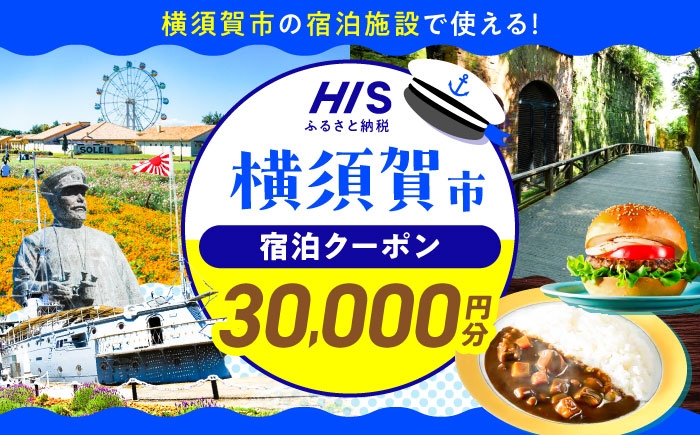 
                  HISふるさと納税クーポン30,000円分 横須賀市／株式会社エイチ・アイ・エス 【AKIU004】 [AKIU004]
                