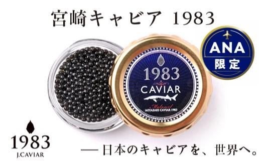 12g入り