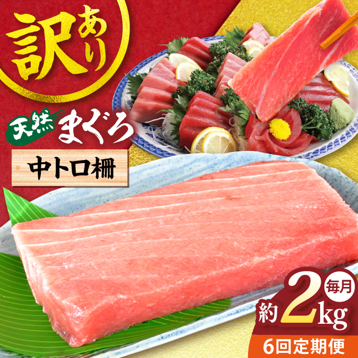 【全6回定期便】【訳あり】天然 まぐろ 中トロ（約2kg）【横須賀商工会議所 おもてなしギフト事務局（本まぐろ直売所）】 [AKAK054]