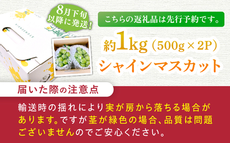 【2024年8月下旬より順次発送予定】先行予約 産地直送 シャインマスカット 2房セット 約1kg ギフト 贈答品 果物 セット　広川町 / JAふくおか八女農産物直売所どろや[AFAB012]